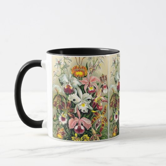 Ernst Haeckel - Orchids Tasse (Links)