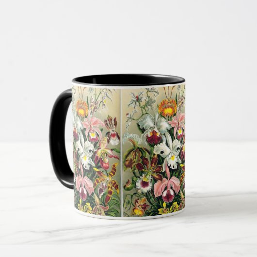 Ernst Haeckel - Orchids Tasse (Vorderseite Links)