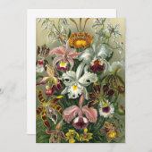 Ernst Haeckel Orchids, Vintage Regenwald-Blume Einladung (Vorne/Hinten)
