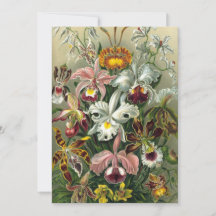 Ernst Haeckel Orchids, Vintage Regenwald-Blume