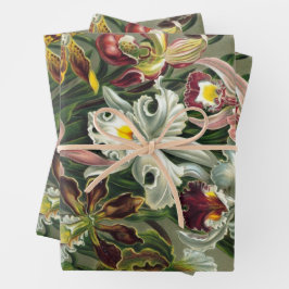 Ernst Haeckel Orchids, Vintage Regenwald-Blume Geschenkpapier Set
