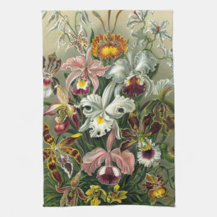 Ernst Haeckel Orchids, Vintage Regenwald-Blume Geschirrtuch