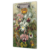 Ernst Haeckel Orchids, Vintage Regenwald-Blume Klemmbrett (Links)