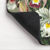 Ernst Haeckel Orchids, Vintage Regenwald-Blume Mousepad (Ecke)