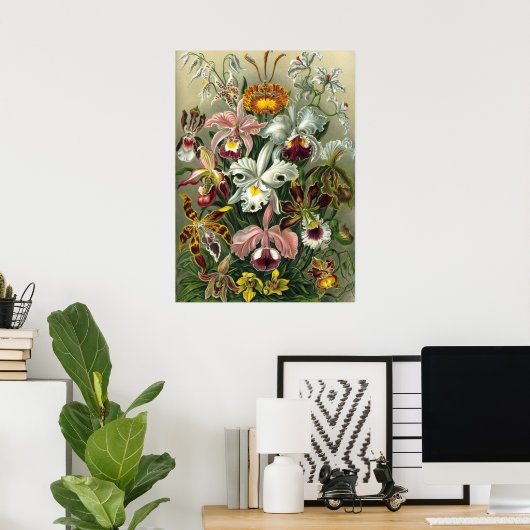 Ernst Haeckel Orchids, Vintage Regenwald-Blume Poster (Heimbüro)