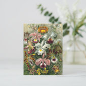 Ernst Haeckel Orchids, Vintage Regenwald-Blume Postkarte (Stehend Vorderseite)