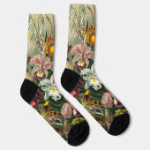 Ernst Haeckel Orchids, Vintage Regenwald-Blume Socken (Rechts)