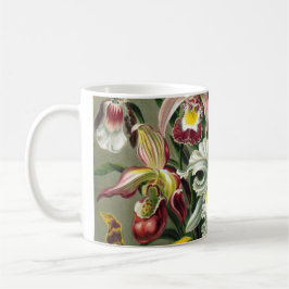 Ernst Haeckel Orchids, Vintage Regenwald-Blume Tasse
