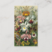 Ernst Haeckel Orchids, Vintage Regenwald-Blume Visitenkarte (Rückseite)