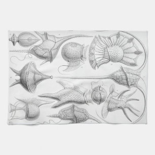 Ernst Haeckel Peridinea Würmer Handtuch