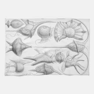 Ernst Haeckel Peridinea Würmer Handtuch