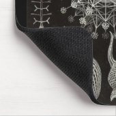 Ernst Haeckel - Phaeodaria2 Mousepad (Ecke)