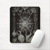 Ernst Haeckel - Phaeodaria2 Mousepad (Mit Mouse)
