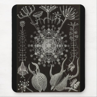 Ernst Haeckel - Phaeodaria2 Mousepad