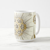 Ernst Haeckel Phaeodaria Kaffeetasse (VorderseiteRechts)