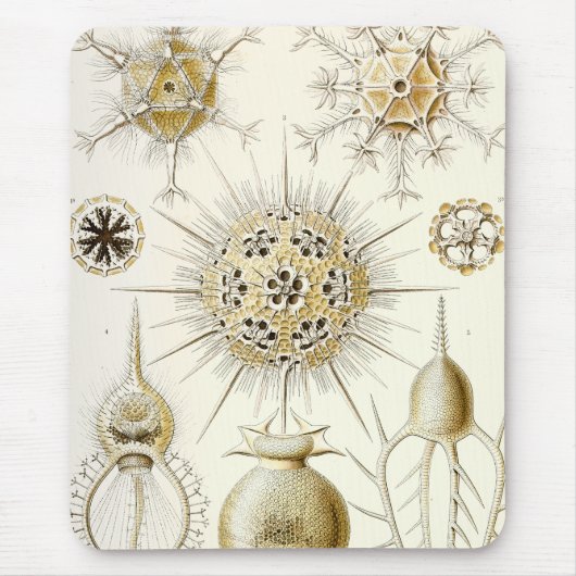 Ernst Haeckel Phaeodaria Mousepad (Vorne)