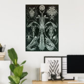 Ernst Haeckel - Platodes Poster (Heimbüro)