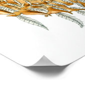 Ernst Haeckel Poster ~ Arachnida (Ecke)