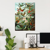 Ernst Haeckel Poster ~ Hummingbirds (Heimbüro)