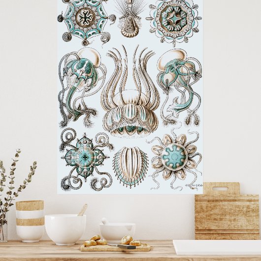 Ernst Haeckel Poster ~ Narcomedusae (Küche)