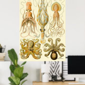 Ernst Haeckel Poster ~ Tafel (Heimbüro)