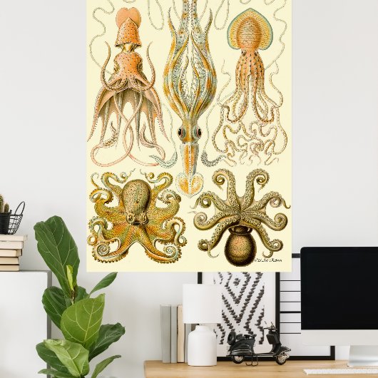 Ernst Haeckel Poster ~ Tafel (Heimbüro)