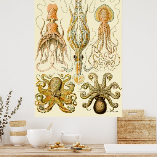 Ernst Haeckel Poster ~ Tafel (Küche)