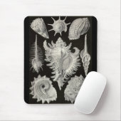 Ernst Haeckel - Prosobranchia Mousepad (Mit Mouse)