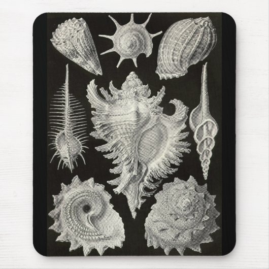 Ernst Haeckel - Prosobranchia Mousepad (Vorne)