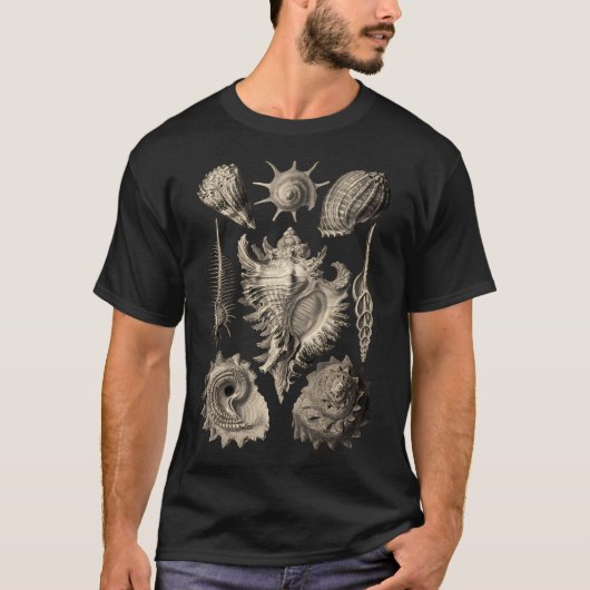 Ernst Haeckel Prosobranchia Muscheln T-Shirt (Vorderseite)