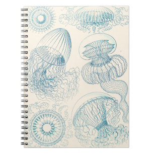 Ernst Haeckel Quallen Vintage Wissenschaftskunst Notizblock