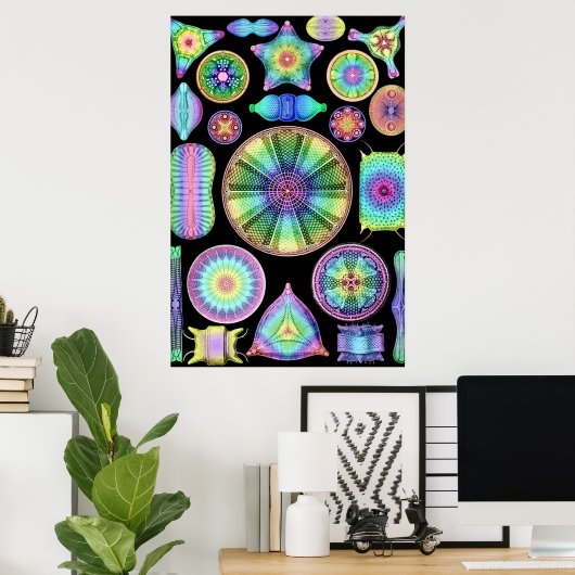 Ernst Haeckel Rainbow Diatom Poster (Heimbüro)