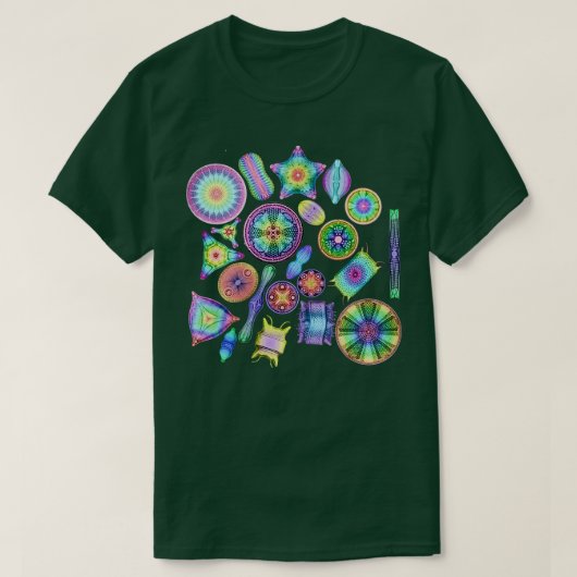 Ernst Haeckel Rainbow Diatom Tossed T-Shirt (Design vorne)