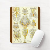 Ernst Haeckel - Rotatoria Stellvertreter Mousepad (Mit Mouse)