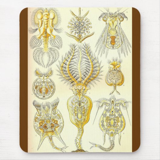 Ernst Haeckel - Rotatoria Stellvertreter Mousepad (Vorne)