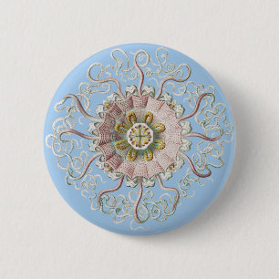 Ernst Haeckel Schiffs-Pink Qualle Medusa Button