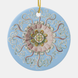 Ernst Haeckel Schiffs-Pink Qualle Medusa Keramik Ornament