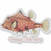 Ernst Haeckel Schiffs- Roter Kofferfisch Meer Lebe Aufkleber (Vorderseite)