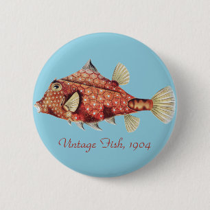 Ernst Haeckel Schiffs- Roter Kofferfisch Meerestie Button