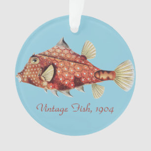 Ernst Haeckel Schiffs- Roter Kofferfisch Meerestie Ornament