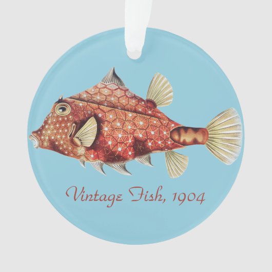 Ernst Haeckel Schiffs- Roter Kofferfisch Meerestie Ornament (Vorderseite)
