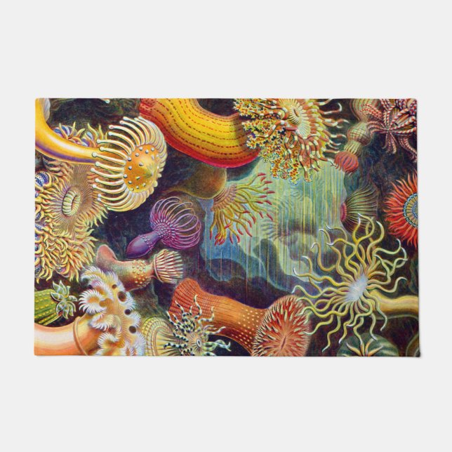 Ernst Haeckel Sea Anemones Marine:Actiniae Fußmatte (Vorderseite)