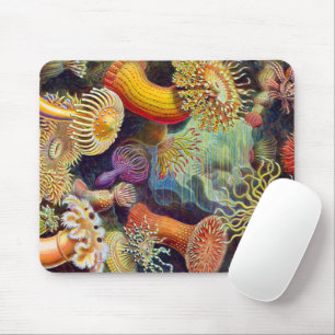 Ernst Haeckel Sea Anemones Marine:Actiniae Mousepad