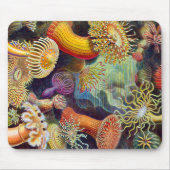 Ernst Haeckel Sea Anemones Marine:Actiniae Mousepad (Vorne)