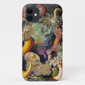 Ernst Haeckel-Seeanemonen Case-Mate iPhone Hülle (Rückseite)