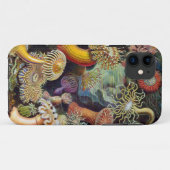 Ernst Haeckel-Seeanemonen Case-Mate iPhone Hülle (Rückseite (Horizontal))