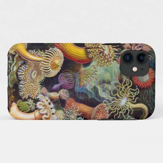Ernst Haeckel-Seeanemonen Case-Mate iPhone Hülle (Rückseite (Horizontal))