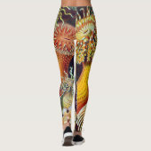 Ernst Haeckel-Seeanemonen-Marinesoldat: Actiniae Leggings (Rückseite)