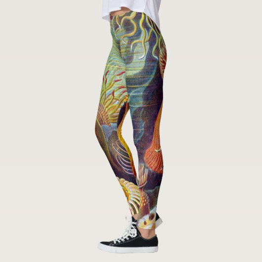 Ernst Haeckel-Seeanemonen-Marinesoldat: Actiniae Leggings (Links)