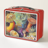 Ernst Haeckel-Seeanemonen-Marinesoldat: Actiniae Metall Lunch Box (Vorderseite)